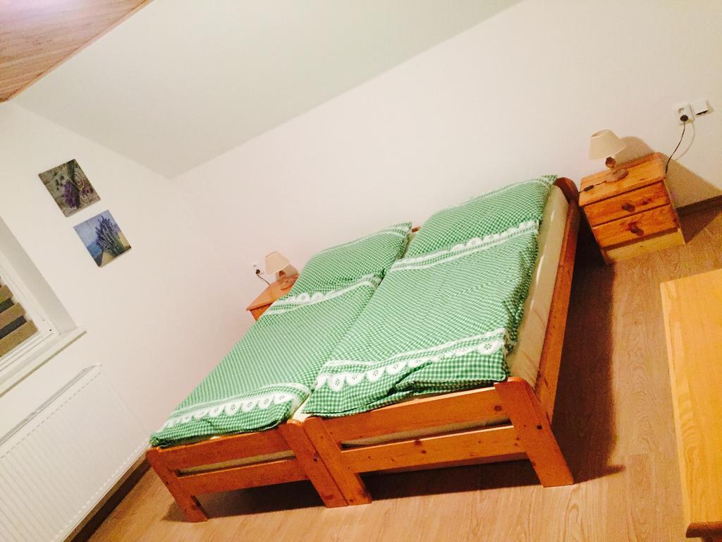 Apartment U Andela Dlouhá Ves Buitenkant foto